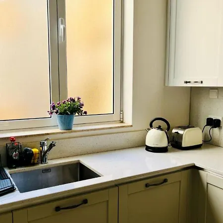 アパート Deluxe One Bedroom 10 Meters From Center バレッタ