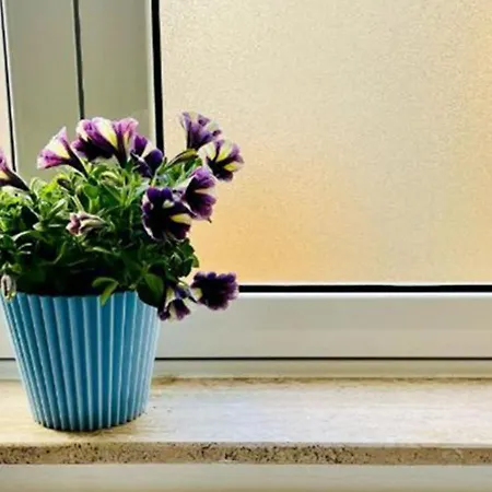 Deluxe One Bedroom 10 Meters From Center アパート