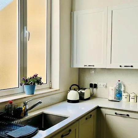 Deluxe One Bedroom 10 Meters From Center Apartment *