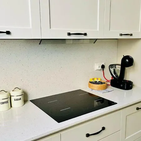 Deluxe One Bedroom 10 Meters From Center Lejlighed