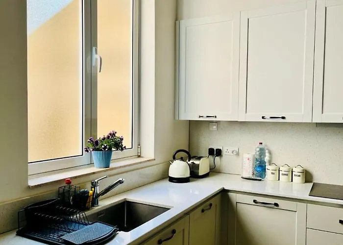 Deluxe One Bedroom 10 Meters From Center Lejlighed *